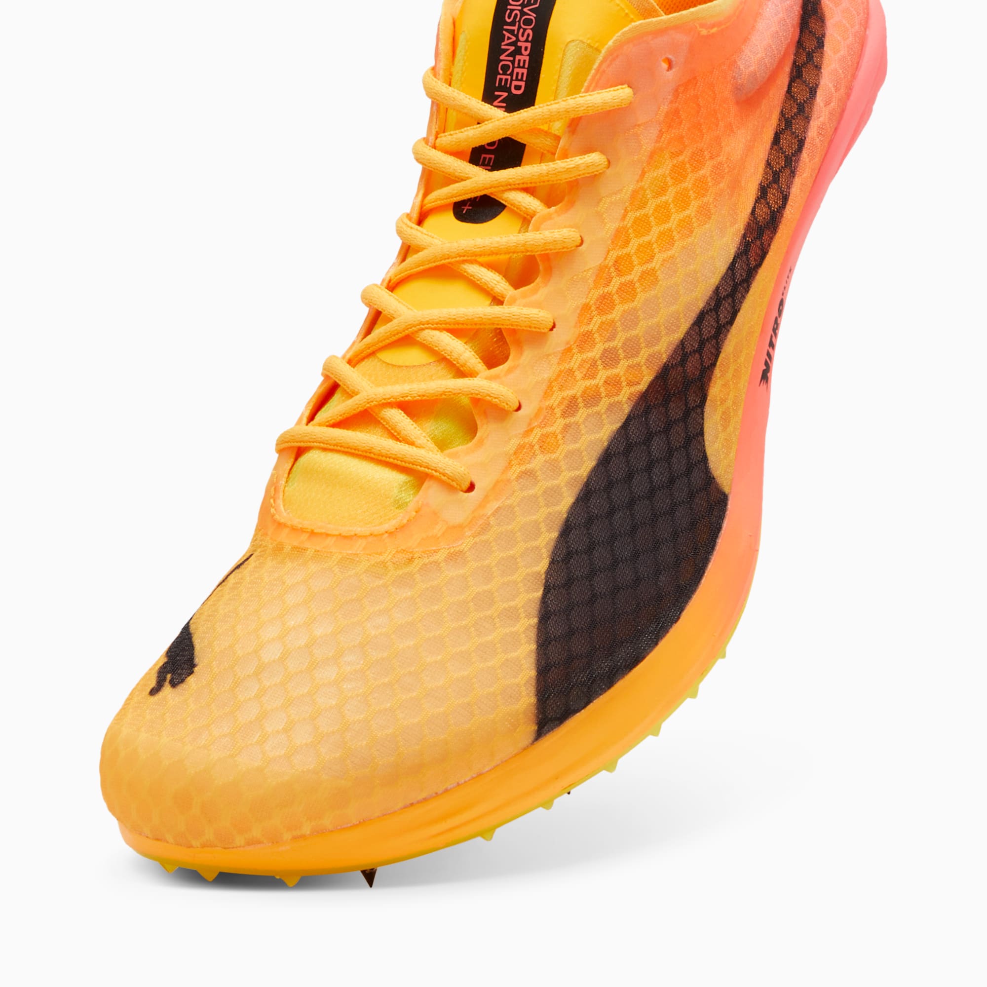 Puma pro evo speed online